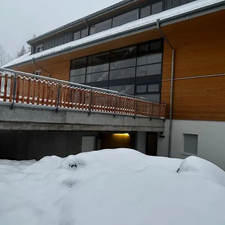 Feldberg Apartment - Direkt An Der Skipiste - Mit Sauna Exterior photo