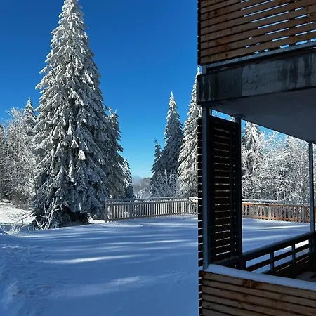 Feldberg Apartment - Direkt An Der Skipiste - Mit Sauna Exterior photo
