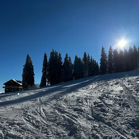Feldberg Apartment - Direkt An Der Skipiste - Mit Sauna Exterior photo