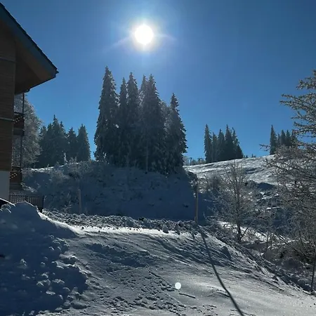 Feldberg Apartment - Direkt An Der Skipiste - Mit Sauna Exterior photo