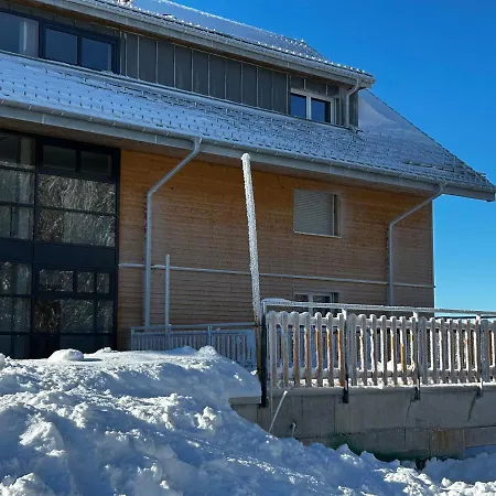 Feldberg Apartment - Direkt An Der Skipiste - Mit Sauna Exterior photo
