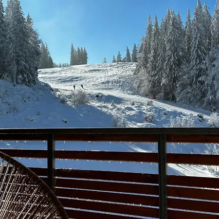 Feldberg Apartment - Direkt An Der Skipiste - Mit Sauna Exterior photo