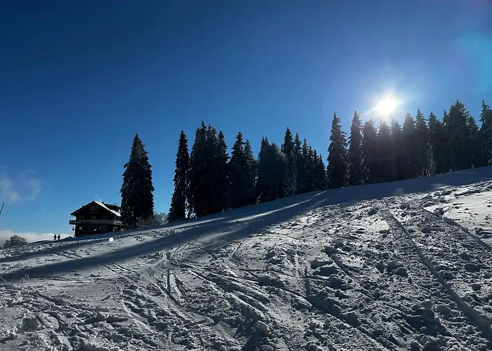 Feldberg Apartment - Direkt An Der Skipiste - Mit Sauna