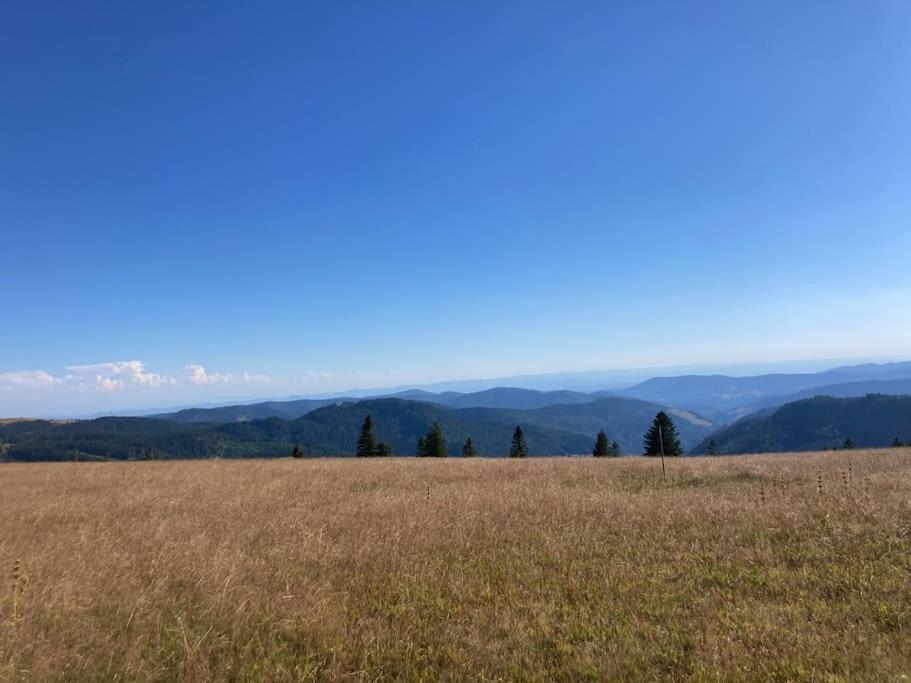 Feldberg - Direkt An Der Skipiste - Mit Sauna Feldberg (Baden-Wurttemberg)