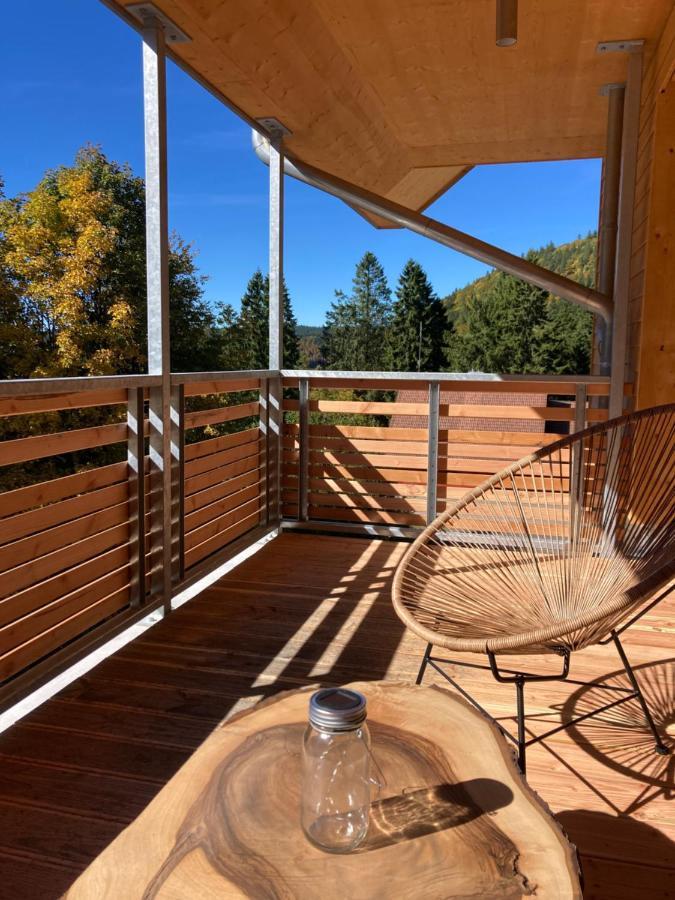 Feldberg - Direkt An Der Skipiste - Mit Sauna *
