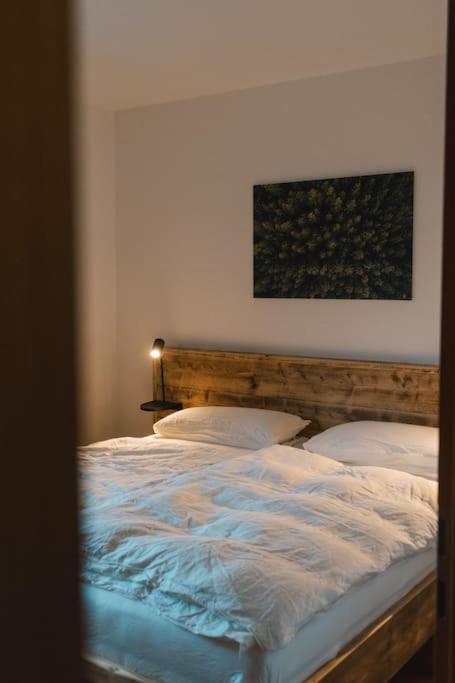 Apartment Feldberg - Direkt An Der Skipiste - Mit Sauna *