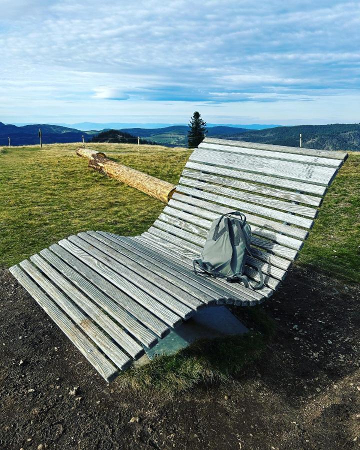 Feldberg - Direkt An Der Skipiste - Mit Sauna * Feldberg (Baden-Wurttemberg)