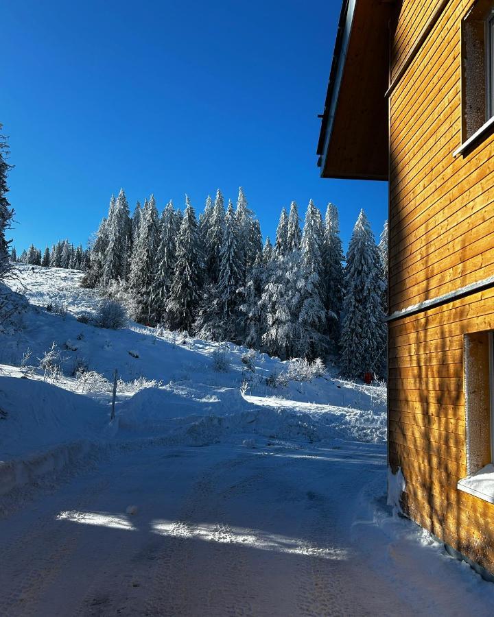 Feldberg - Direkt An Der Skipiste - Mit Sauna *