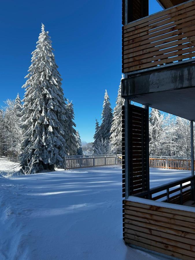 Feldberg - Direkt An Der Skipiste - Mit Sauna *