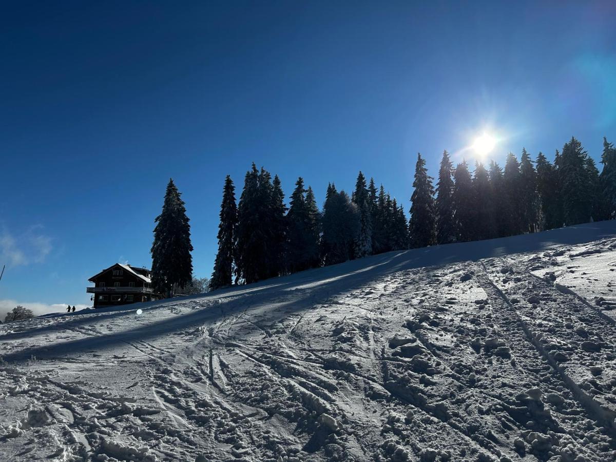 Feldberg - Direkt An Der Skipiste - Mit Sauna