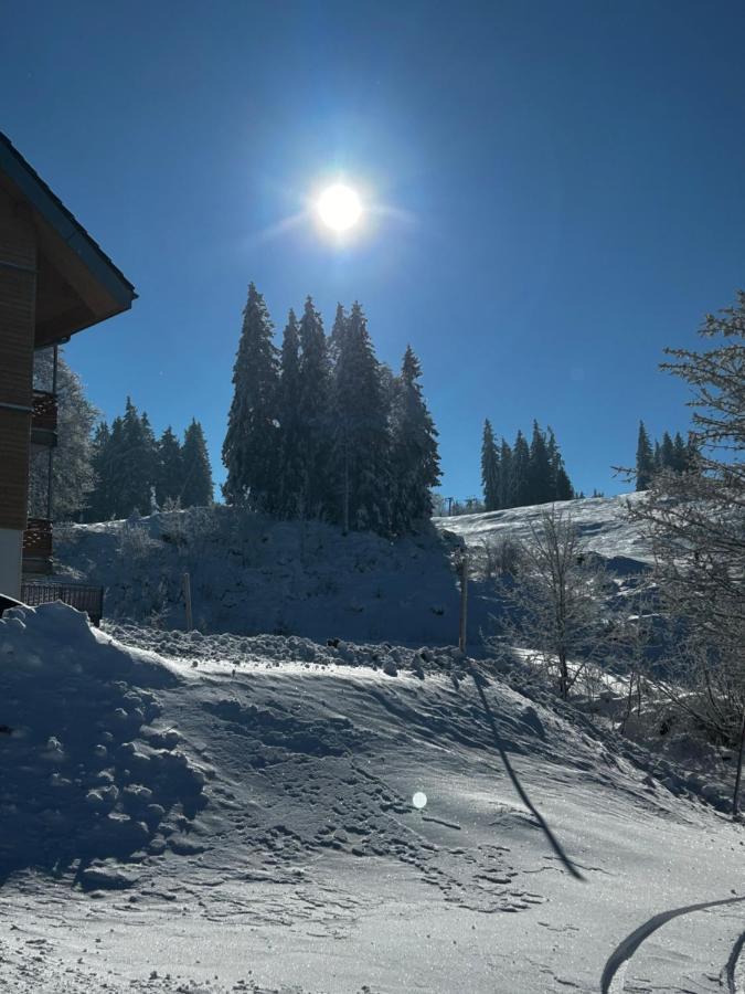 Apartment Feldberg - Direkt An Der Skipiste - Mit Sauna *