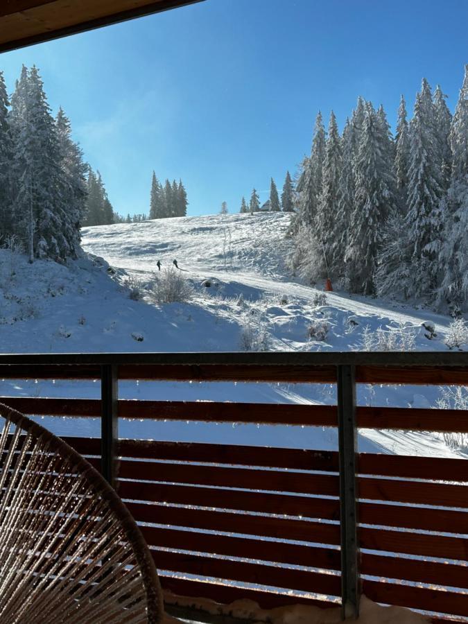 Feldberg - Direkt An Der Skipiste - Mit Sauna * Feldberg (Baden-Wurttemberg)